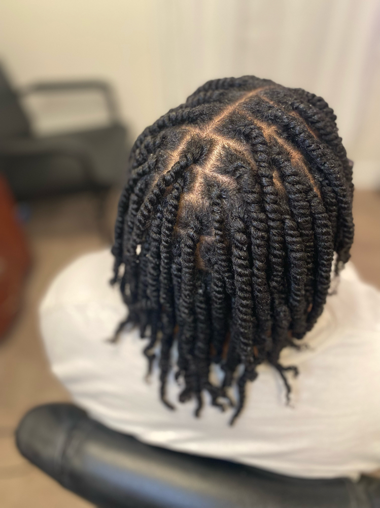 Two Strand Twist