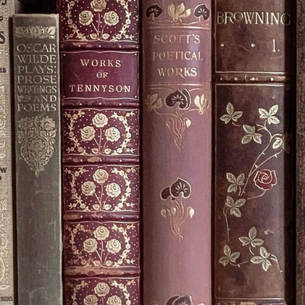 Additional Bowl at Moxie + Mane Hair Co. in Johnson City, TN