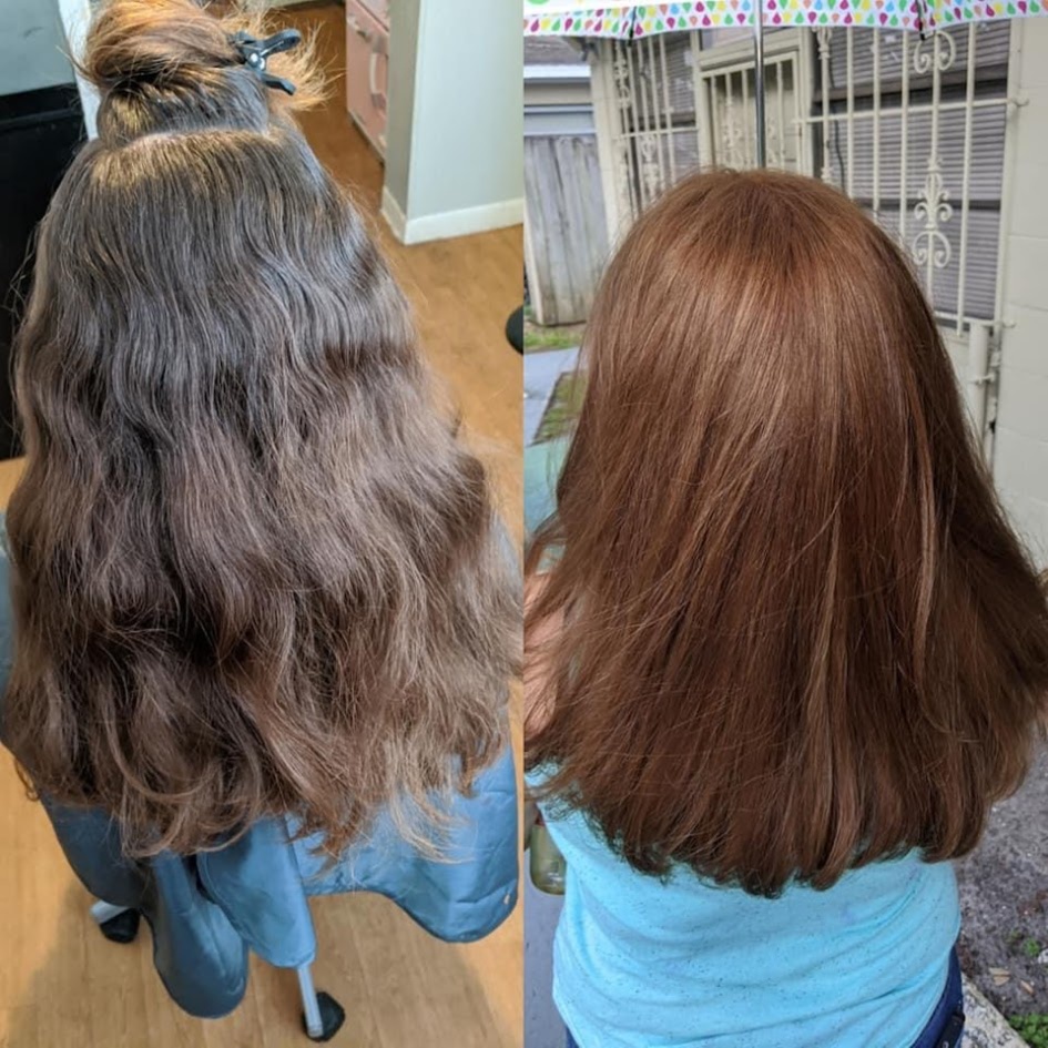 All Over Color (No Foils/Bleach) at The Hair Hub Tampa in Tampa, FL