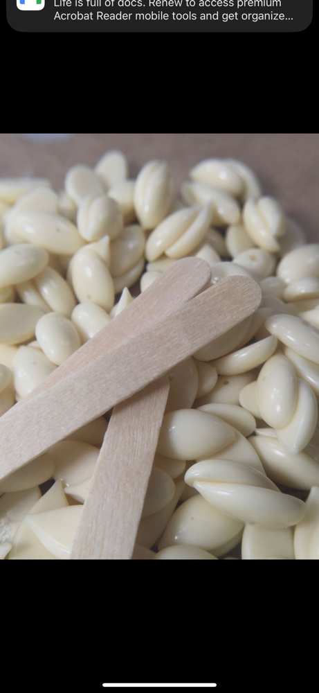 Women’s Bikini Line