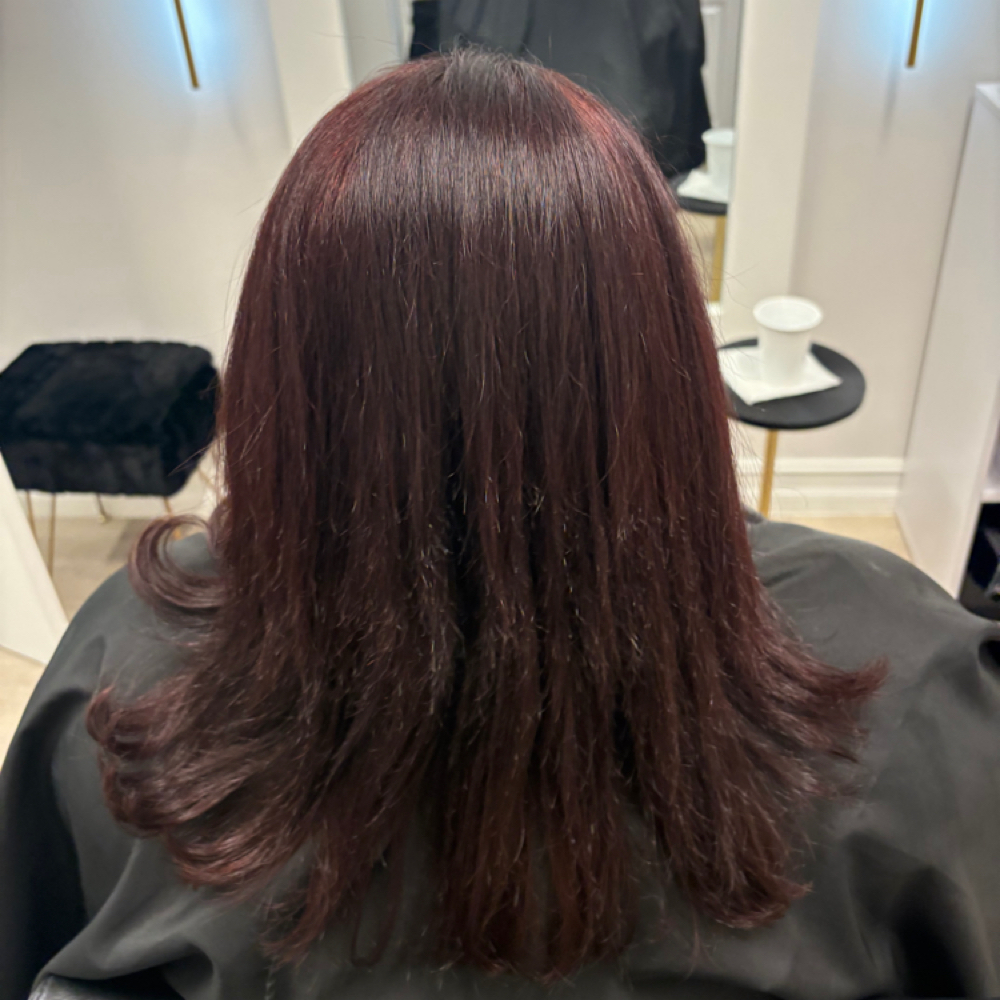 Full Color at Hair by Chelsey in Sarasota, FL