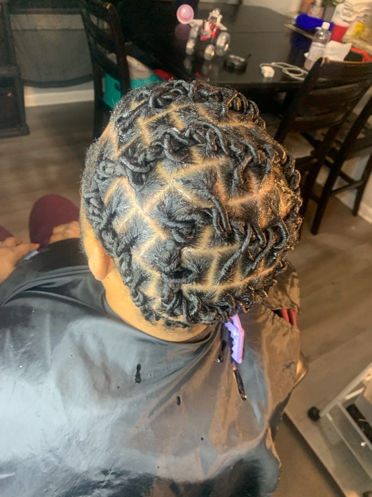 Starter  Locs