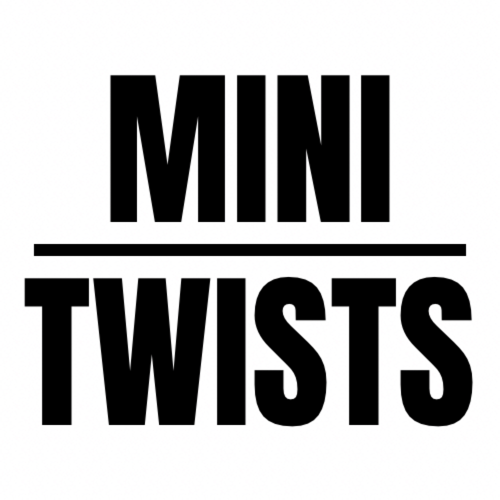 Mini Twists at Loc’d Hair Studio Knoxville in Knoxville, TN