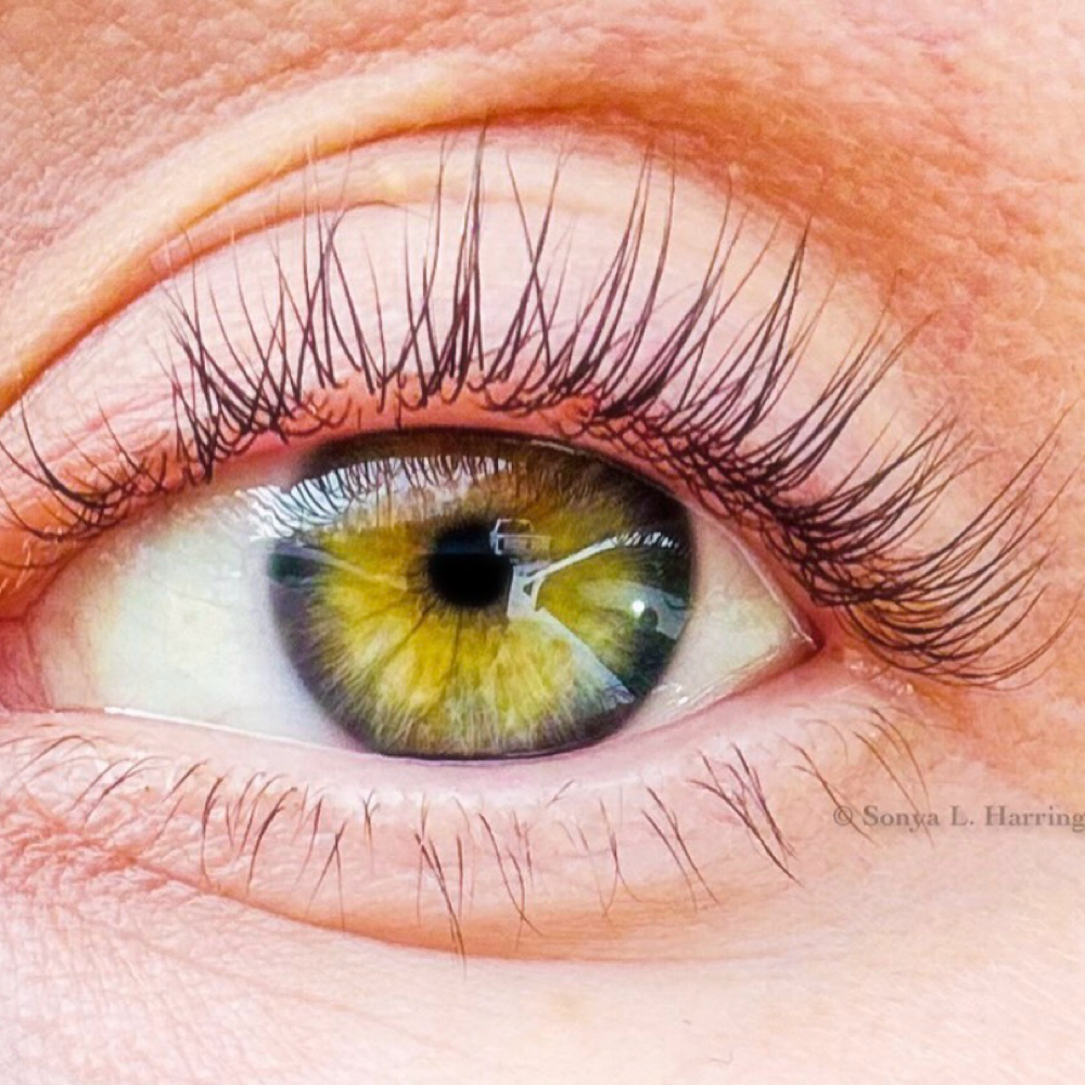 Lash Lift & Tint at Sonya’s Skin Care in Belfast, ME