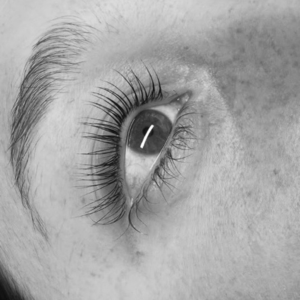 The Lash Lift And Tint at GLOBYSYD in Crown Point, IN