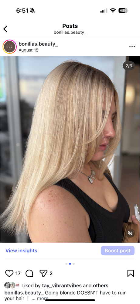 The Partial Highlight at Bonillas.beauty in Loveland, CO