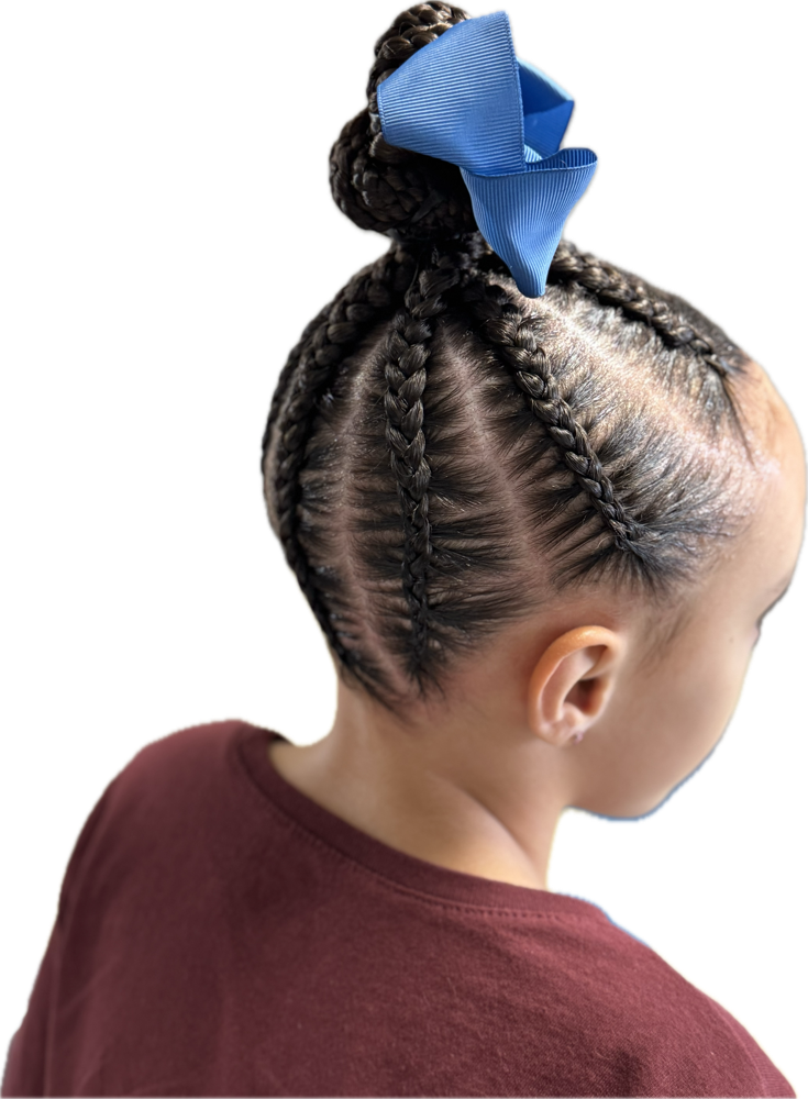 Braids/bun