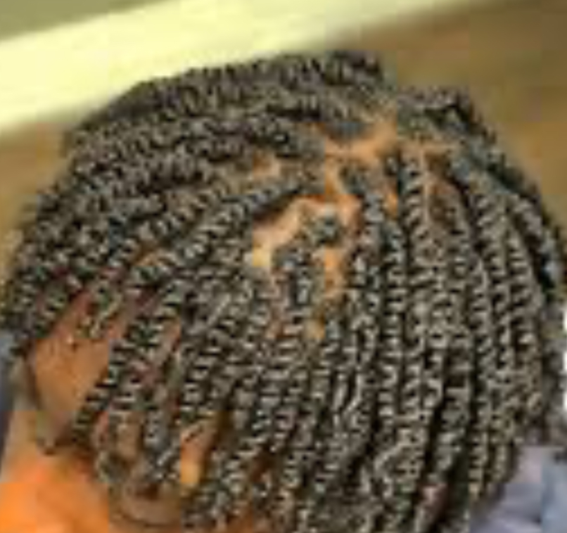 Two Strand Twist at Simonedidit in Alameda, CA