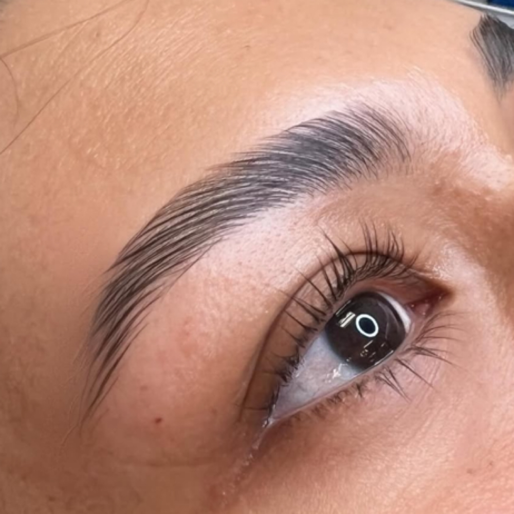Brow Maintenance Appointment at Brows by KT in Huntington Park, CA