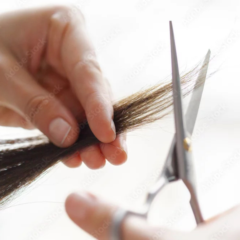 Haircut at Hair by Shantelle in Palm Harbor, FL