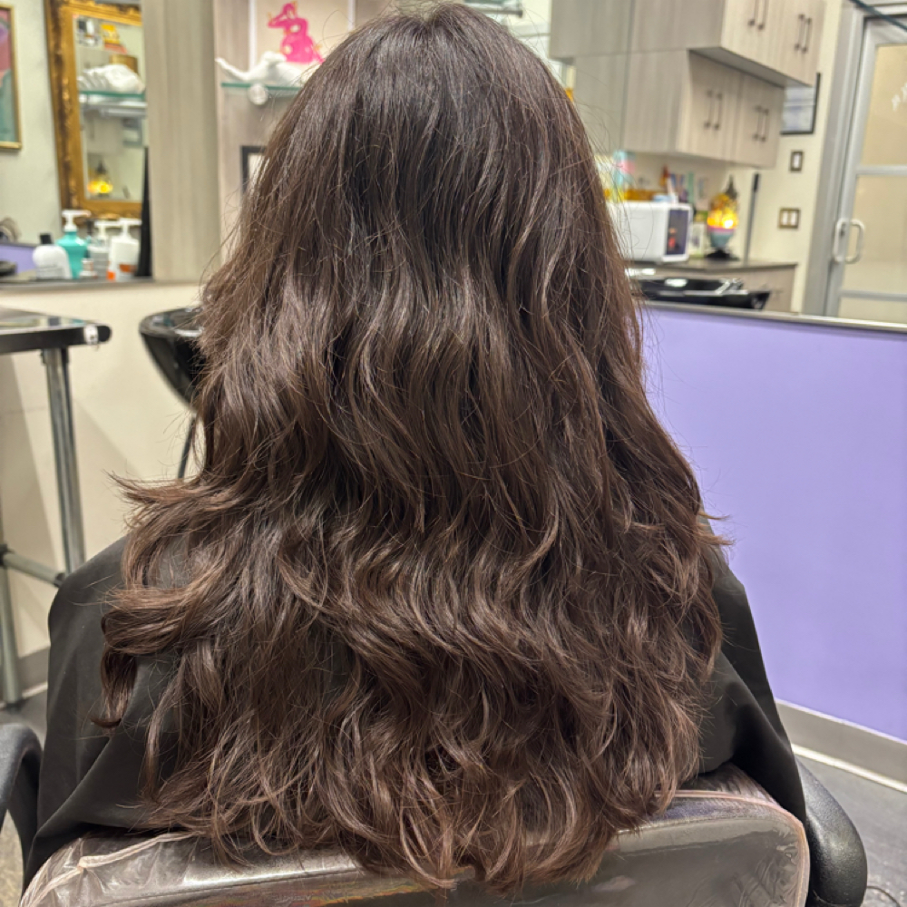 1 Hour “The Standard” Haircut at Bold Salon in Chattanooga, TN