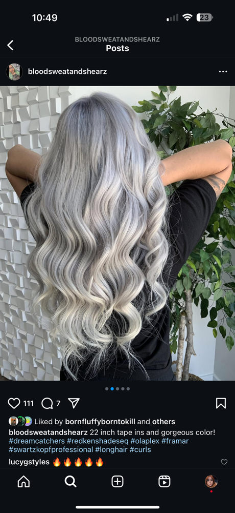 Extensions (consultation Required)