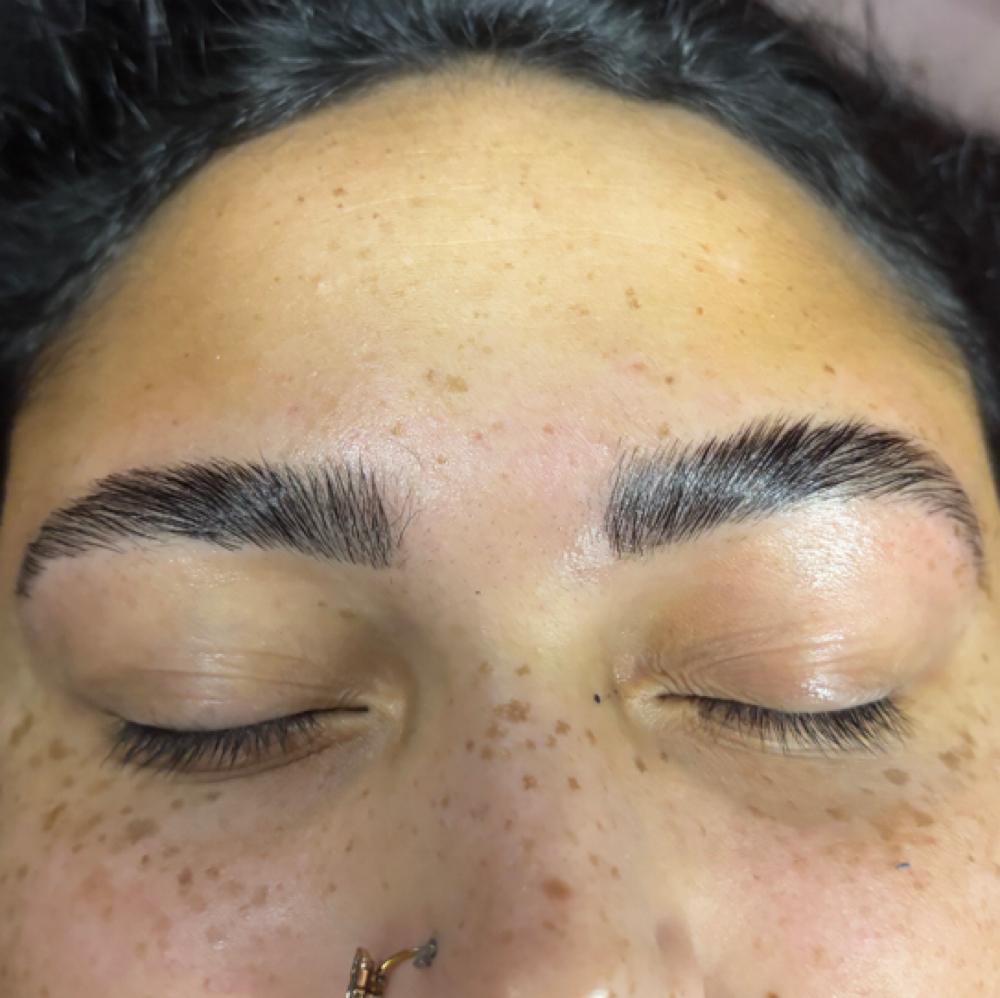 Brow lamination + tint + wax at Beautified By Elizabeth in Knoxville, TN
