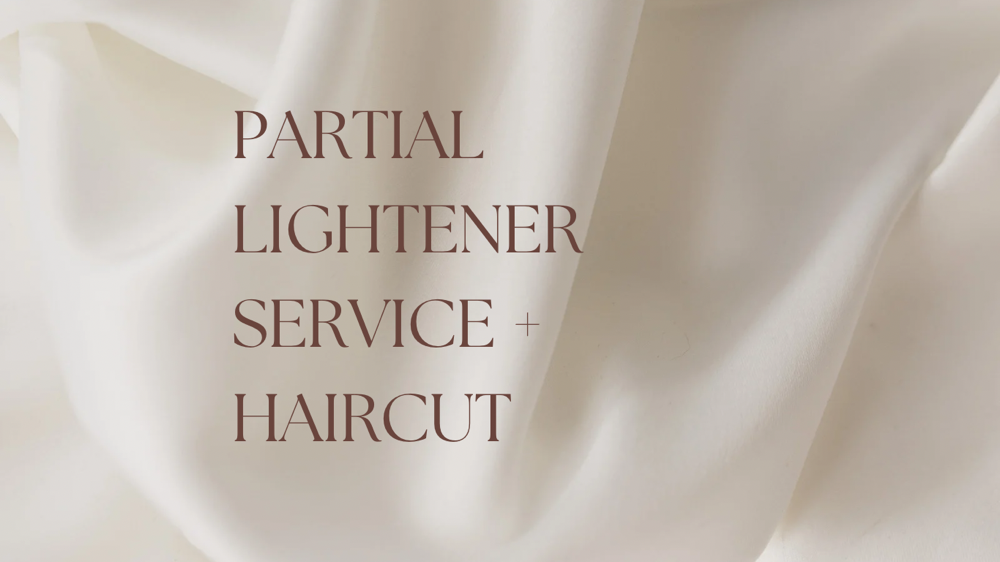 Partial Lightener Service + Haircut