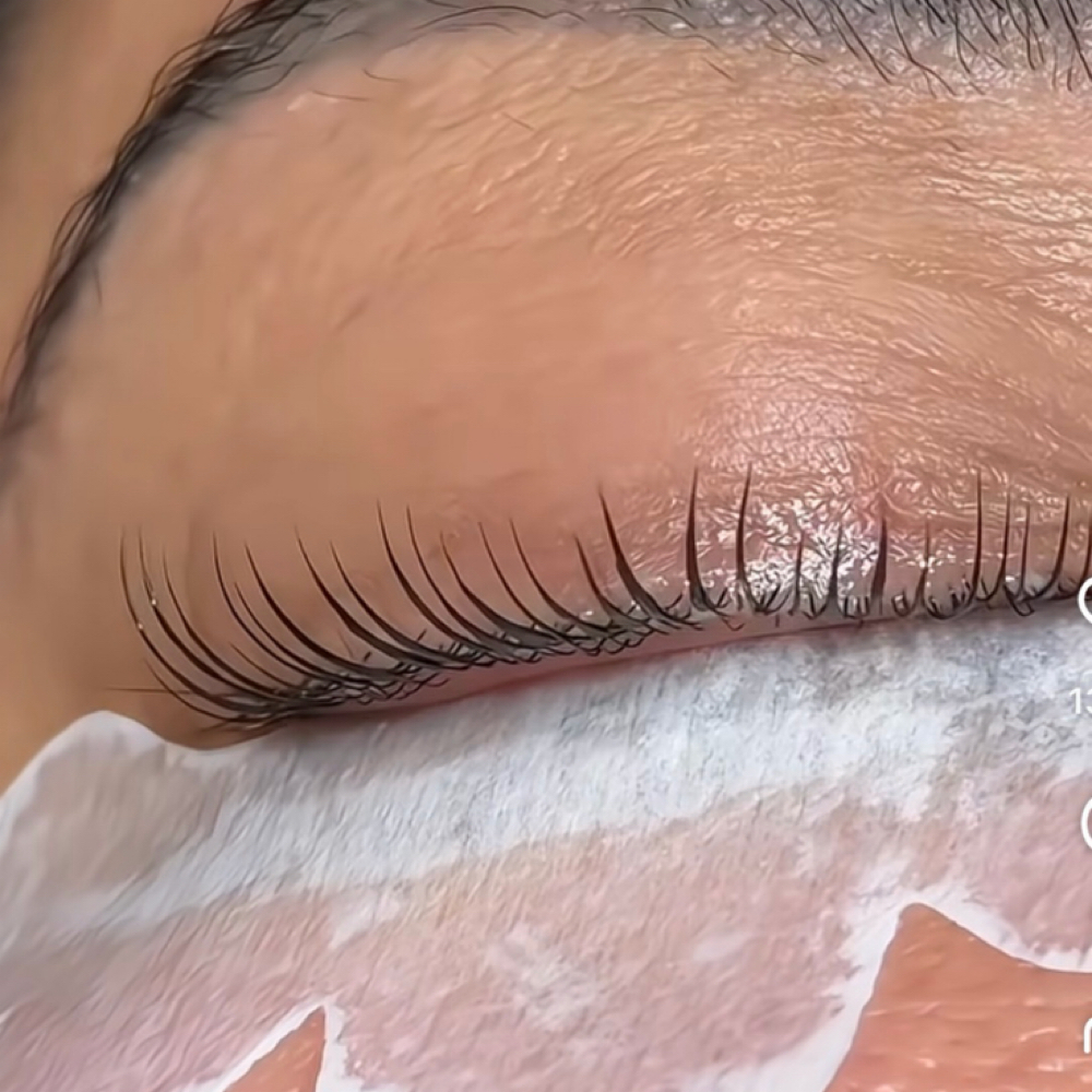 Eyelash Tinting & Lamination at WYN SKIN & BROWS in Dallas, TX