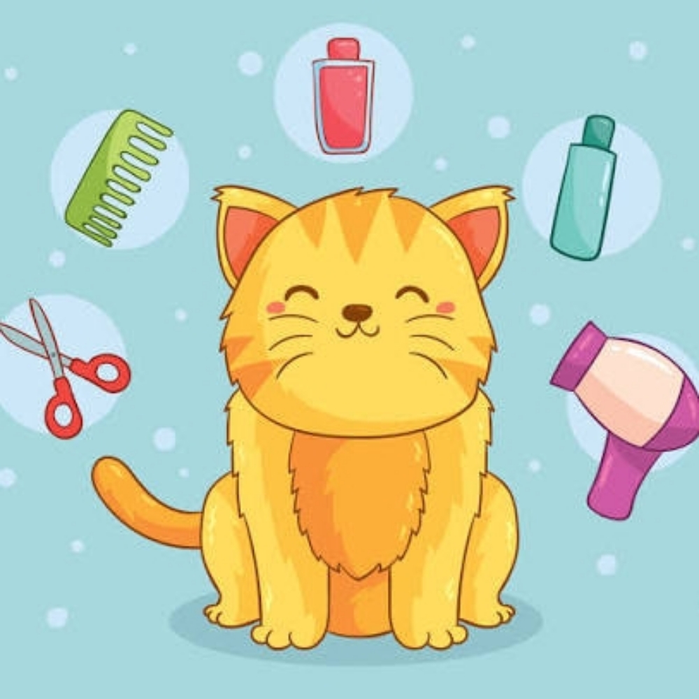 Cat Groom at Salty Paws Pet Spa ✨️Grooming by Sam in North Bend, OR