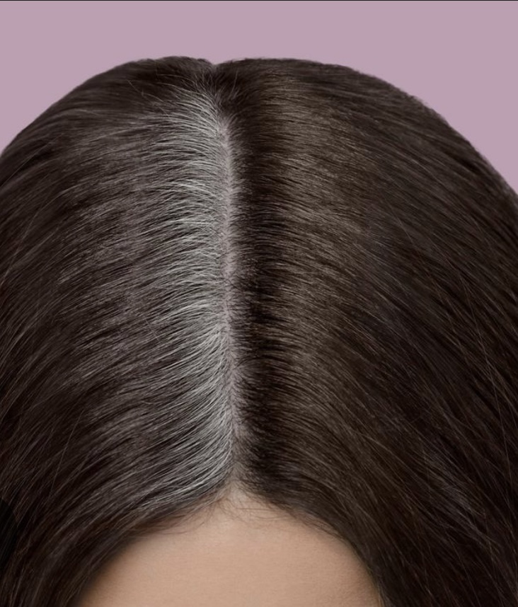 Root Color Touch-Up at Ellie's Elevated Hair Solutions at Bowie and Byers Salon in Fort Worth, TX