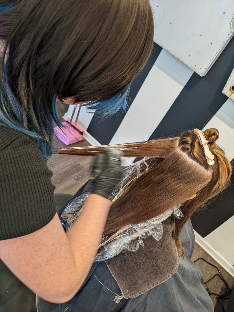 Color Consultation with Sol