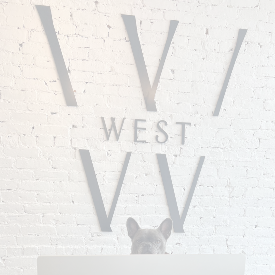 Extension Consultation at West Salon // South Boston in South Boston, MA