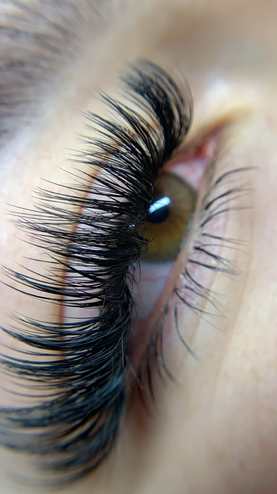 Bottom Lashes (Add-On)