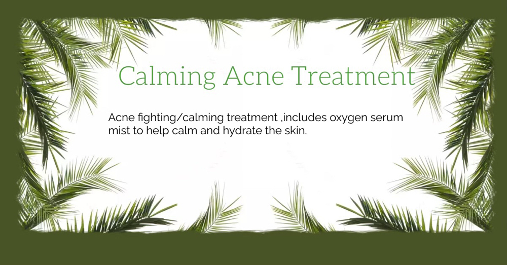 Acne Calming Treatment