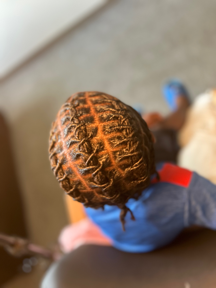Starter Locs