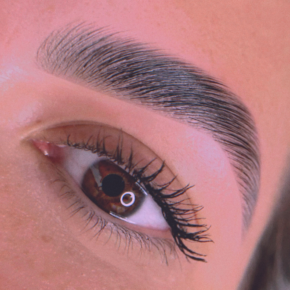 Lamination + Wax + Tint at Pink Beauty Studio in Wichita, KS
