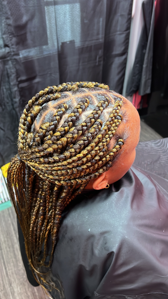 Mid-Back Medium Box Braids