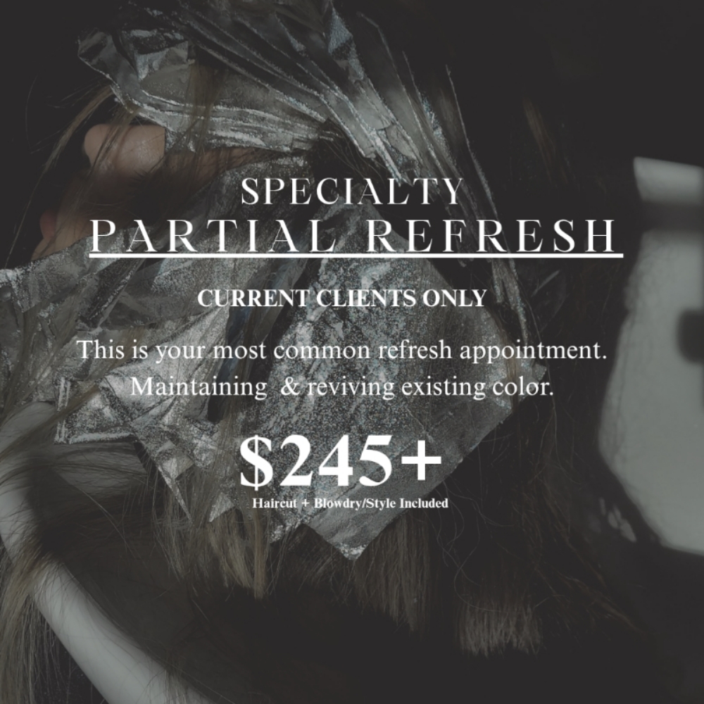 Specialty - Partial Refresh at True & Timeless Hair in Flat Rock, MI