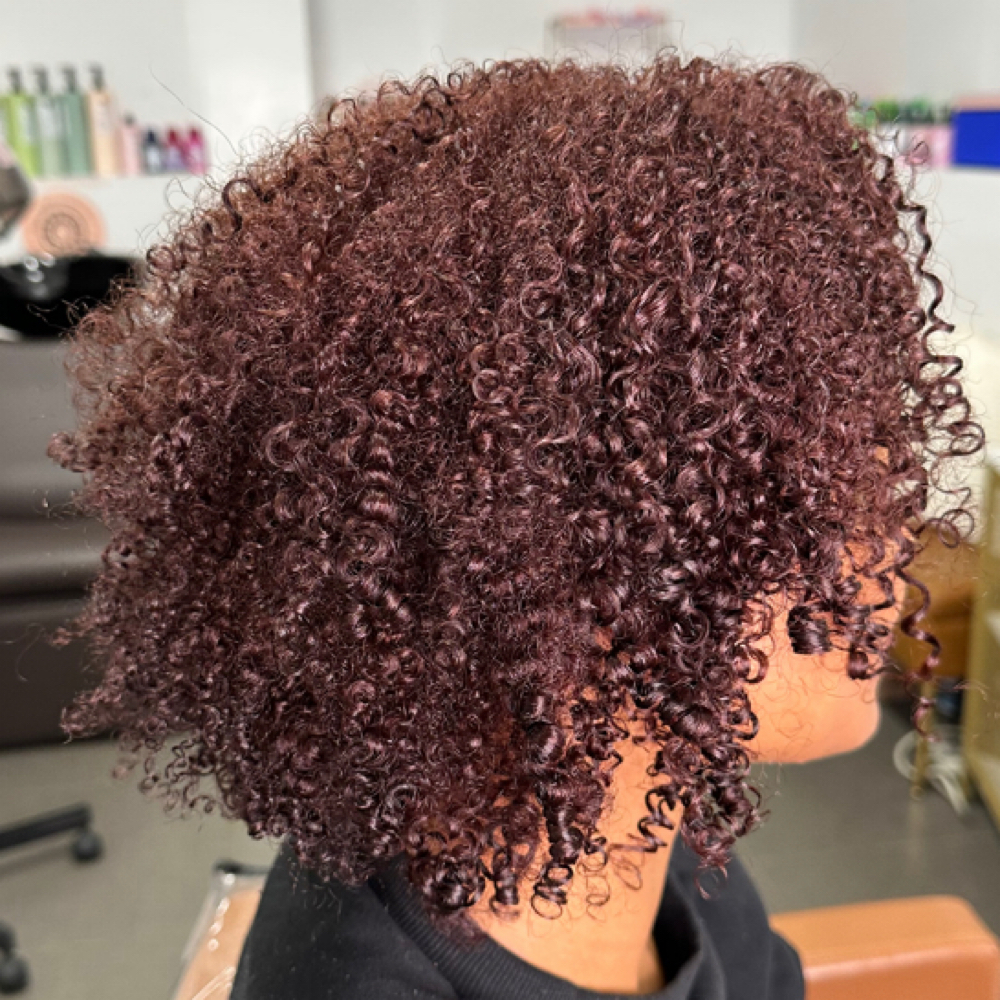 Existing VIP Permanent Color at KaiEvelyn Hair Studio in Brooklyn, NY