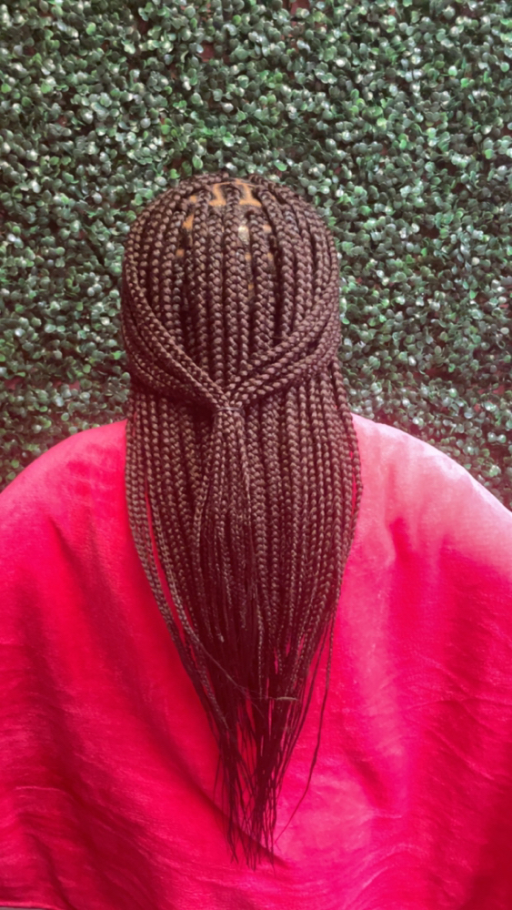 Medium Traditional Box Plaits