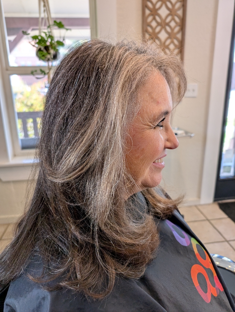 Highlights - Top + Sides Only