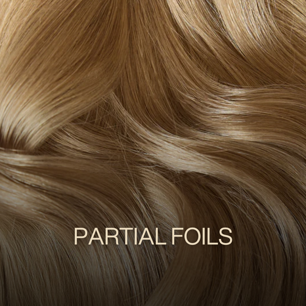 Partial Foils at Zemra Salon in Westborough, MA