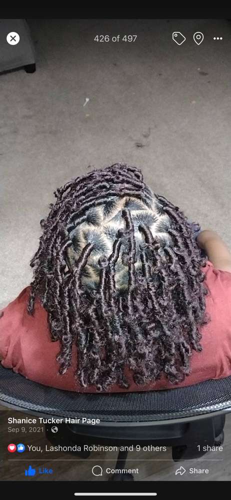Small Butterfly Locs