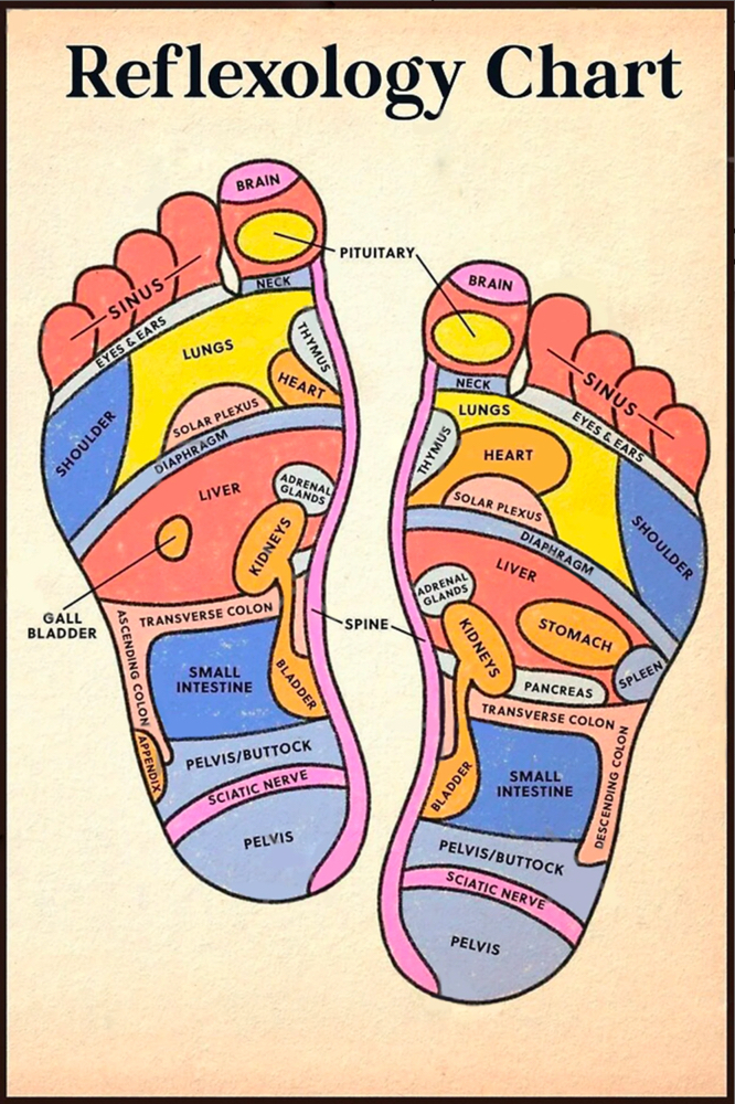 Reflexology Foot Massage