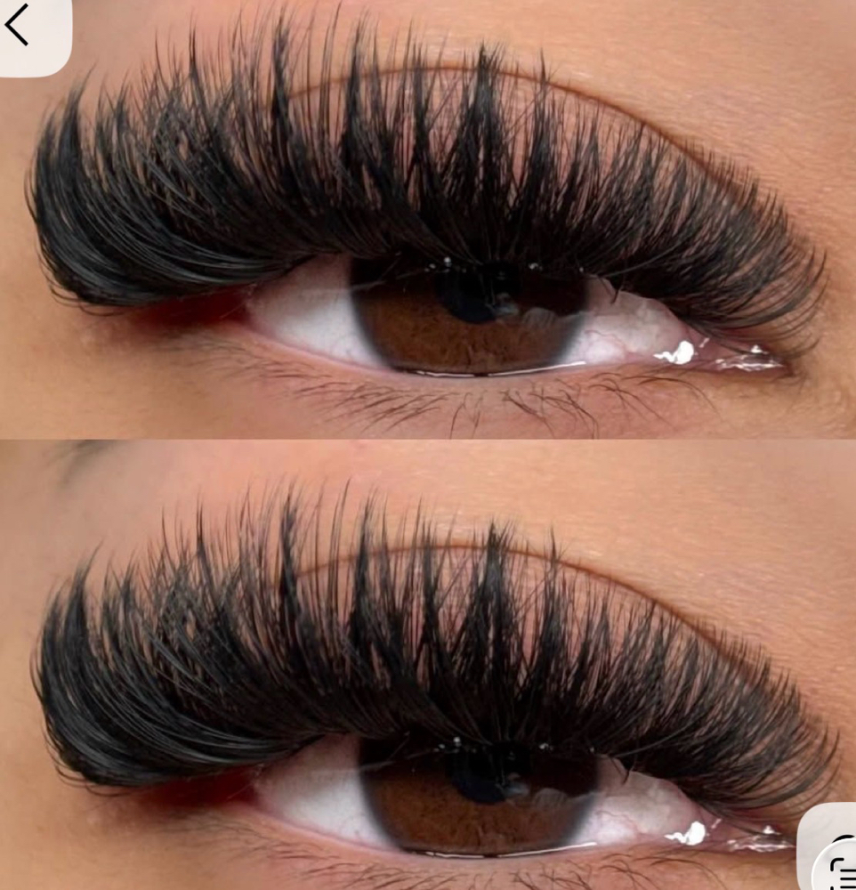 Extreme Volume Eyelash