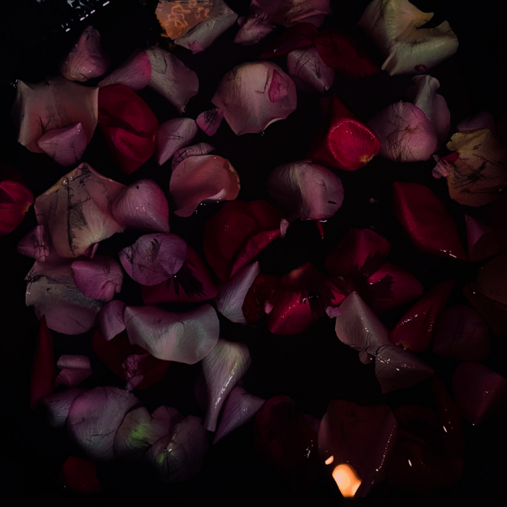 Soft Girl Pedicue at Vera Lux in Statesville, NC