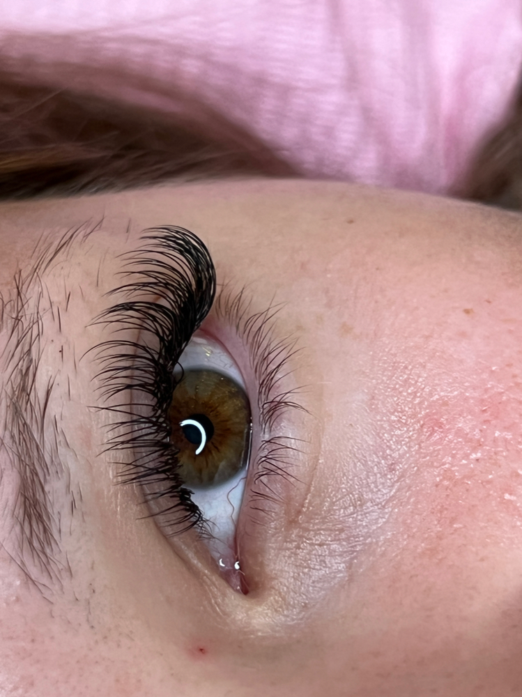 2 Week Classic Refill
