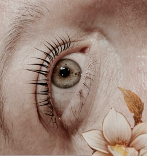 Lash Lift W/Tint
