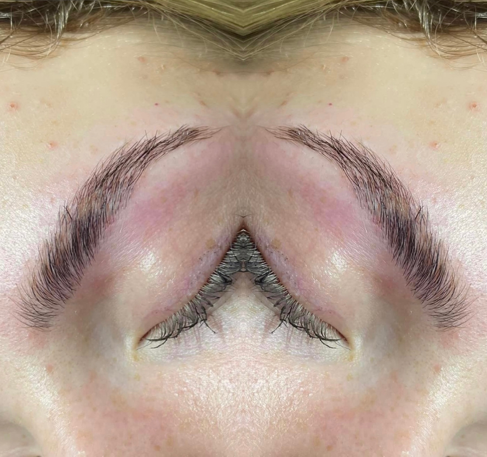 Eyebrow Lamination And Tint