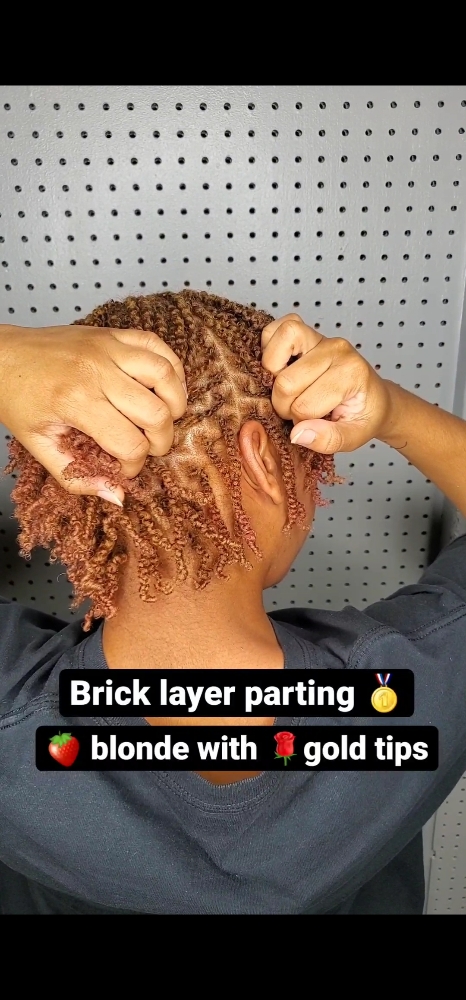 Starter Locs (ADD ON: Interlocking)