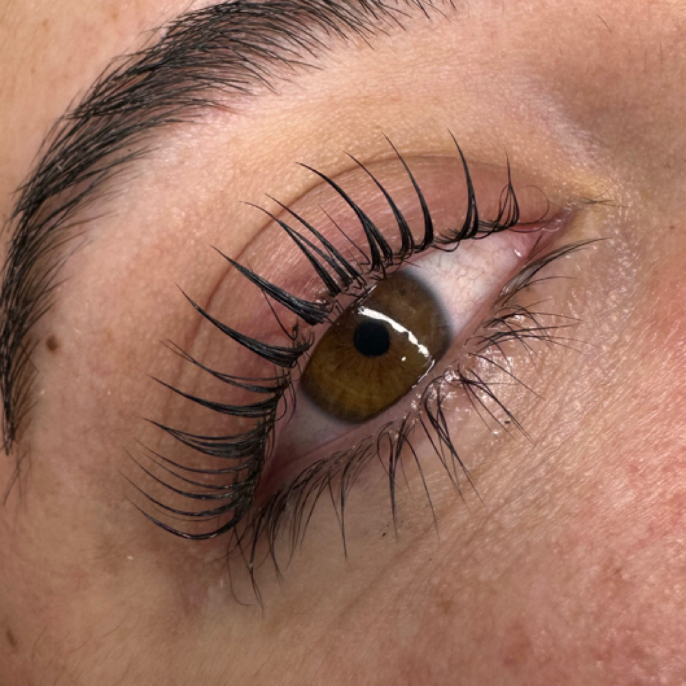 Korean Lash Lift & Tint at Ara’s Beauty Lounge in Oxnard, CA