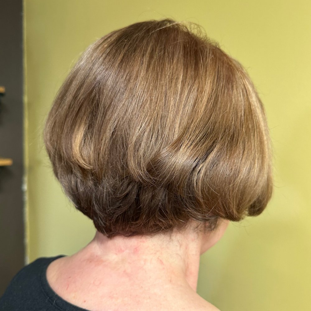 Root Retouch + Toner & Haircut at Glow Up By Sydney in Cameron, MO