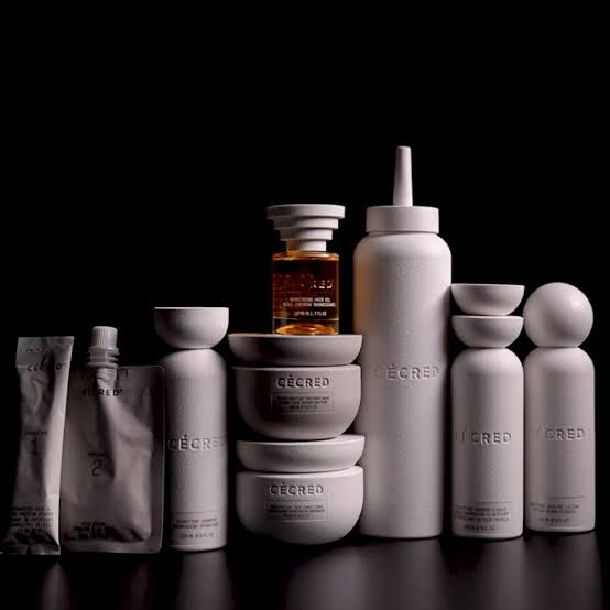 The Cecred Experience - Silk Press