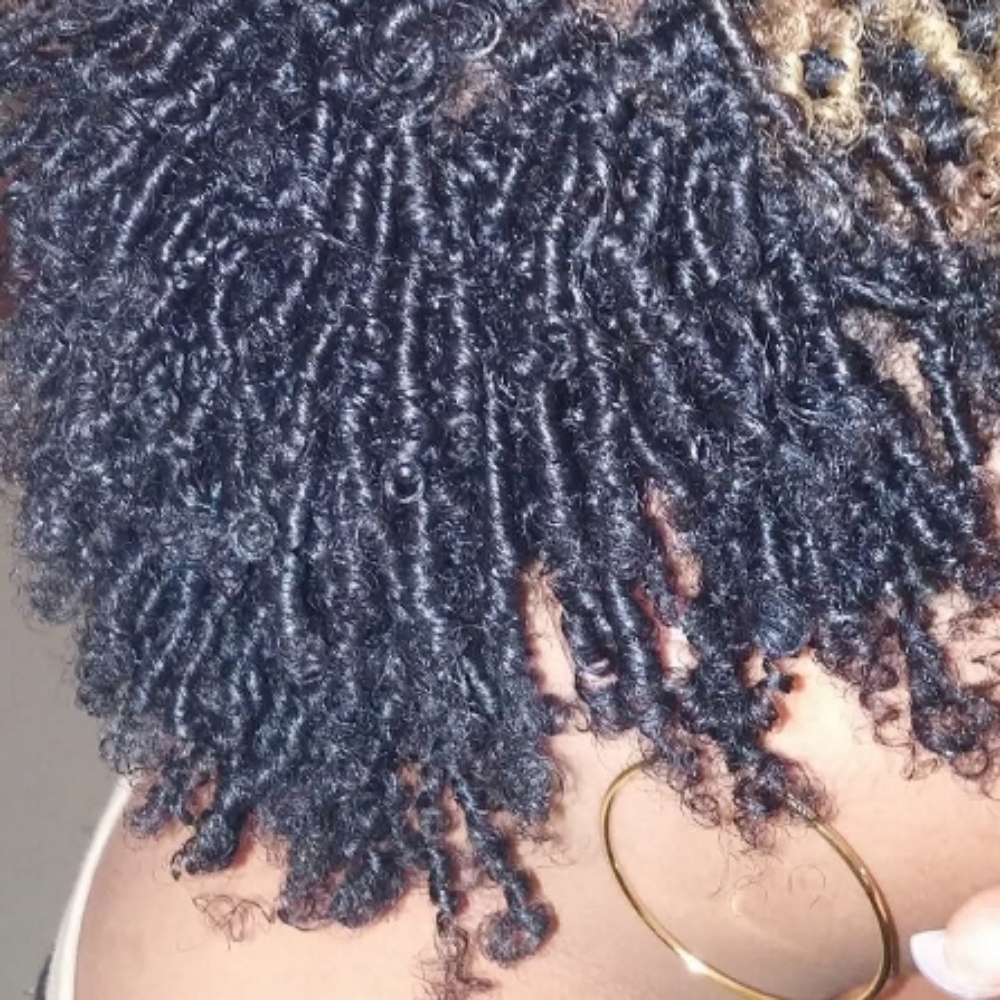 Comb Coil Twist Out at Twistykinks & Twist of Elegance Esthetics in Jacksonville, AR