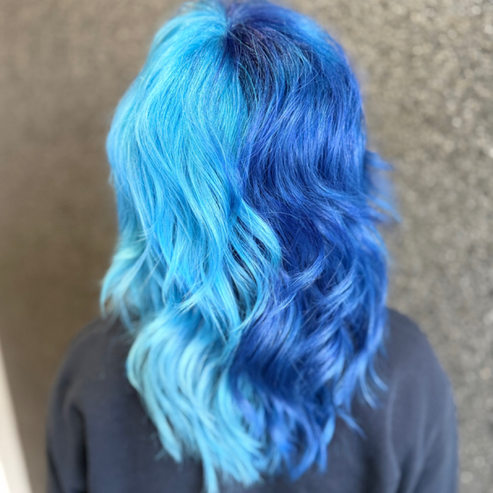 The Vivid Experience