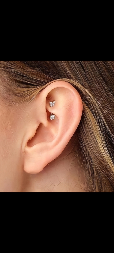 Rook Piercing at Makenzie/Serpent & Sage in Watertown, NY