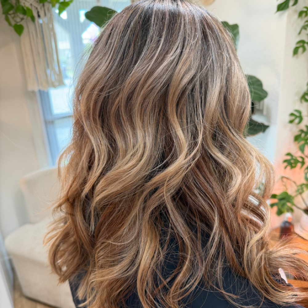 Partial Highlight Thick Hair at Naomi Pena in Puyallup, WA
