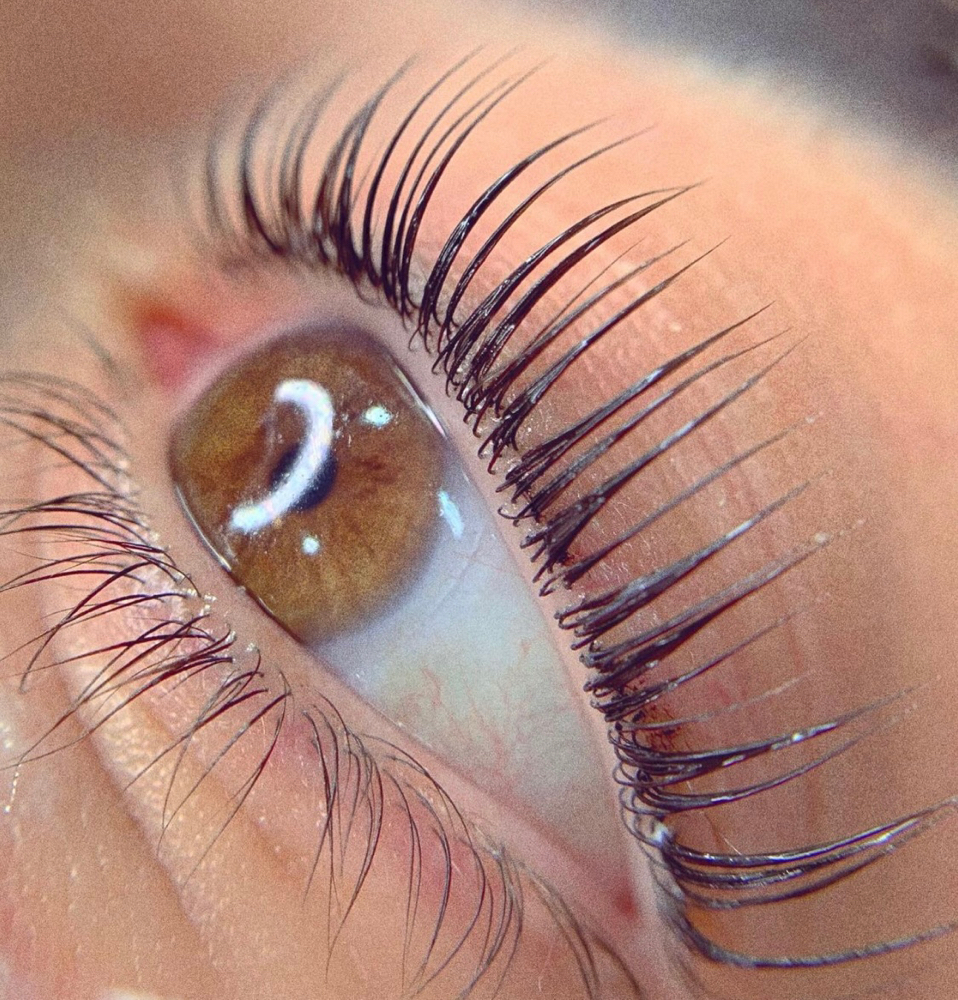 Lash Lift