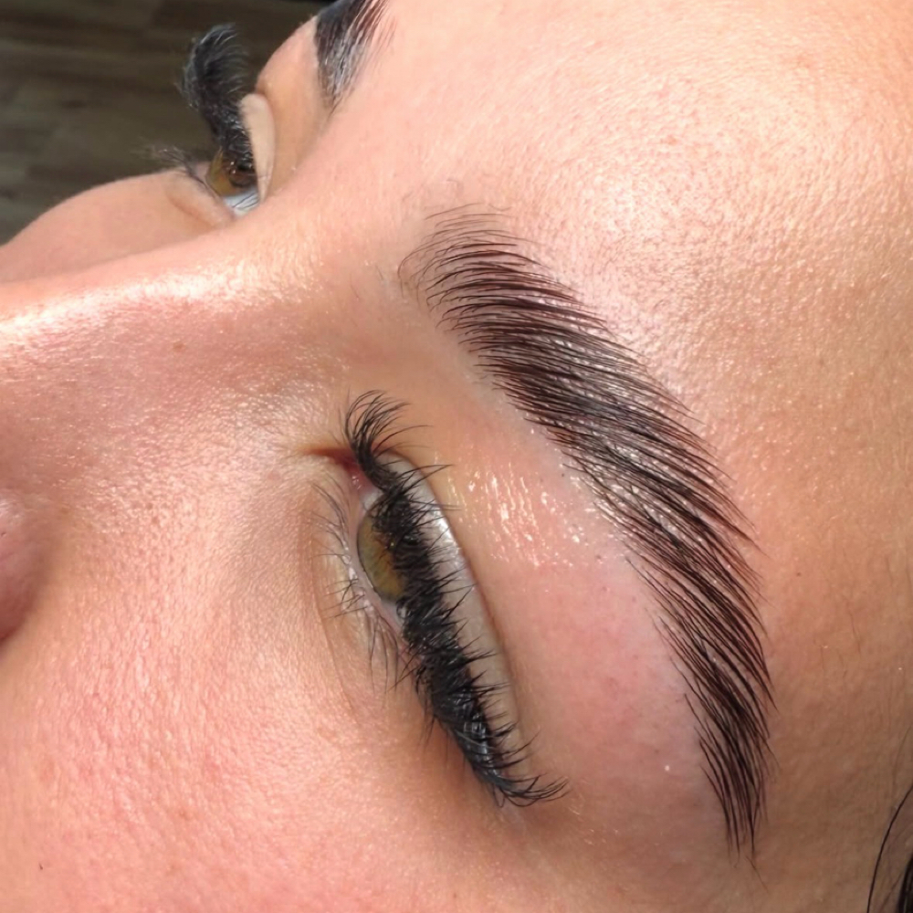 BROW TINT & WAX at Lakutis Skin Therapy in Houston, TX